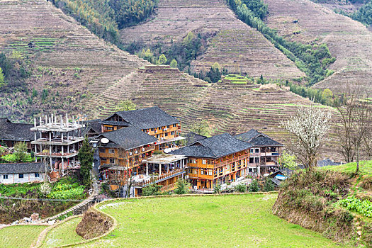 风景,房子,乡村,阶梯状,山