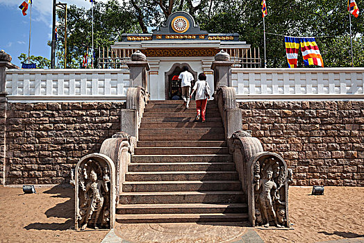 楼梯,神圣,无花果树,城市,阿努拉德普勒,北方,中央省,斯里兰卡,亚洲