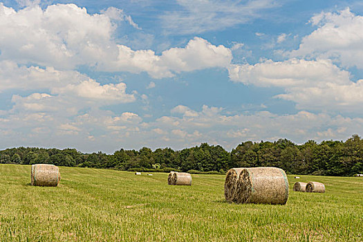 圆,稻草捆,草地,梅克伦堡前波莫瑞州,德国,欧洲