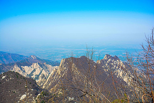 华山春日盛景