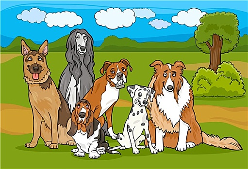 可爱,纯种动物,狗,多,卡通,插画