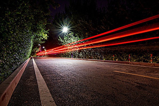 夜晚森林道路