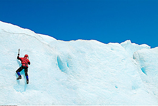 攀冰,棉田豪冰河,阿拉斯加,美国