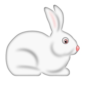 白色,复活节兔子,侧面视角,隔绝,白色背景