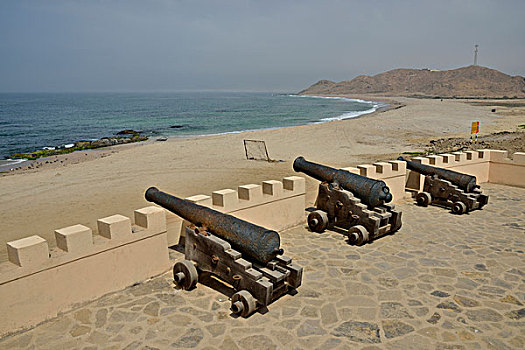 大炮,正面,堡垒,佐法尔,区域,东方,阿曼,亚洲