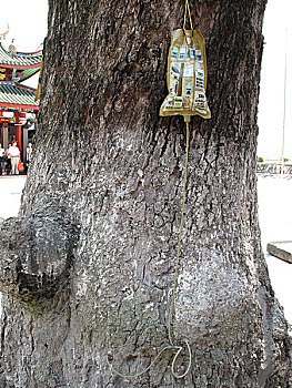 鼓浪屿