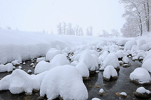 冰雪覆盖的小溪
