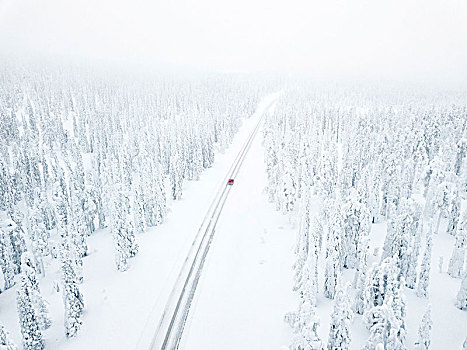 航拍,汽车,雪路,冰,树林,国家公园,拉普兰,芬兰