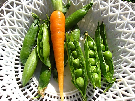 翠绿,荚,豌豆,胡萝卜
