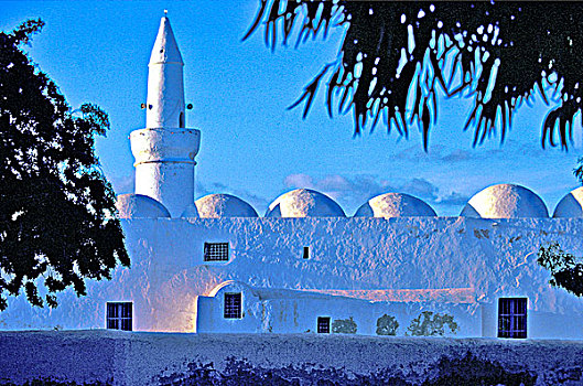 非洲,突尼斯,清真寺,露天市场