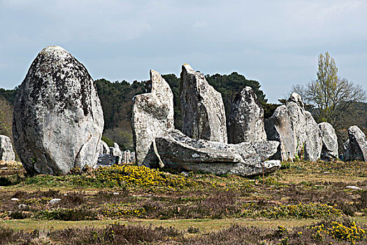 立石,竖石纪念物,排列,卡赫纳,莫尔比昂省,布列塔尼半岛,法国,欧洲