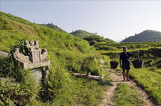 中国,广西,龙胜,稻米梯田,靠近,桂林