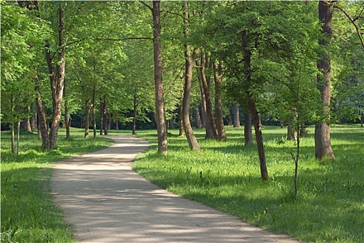 荫凉,道路