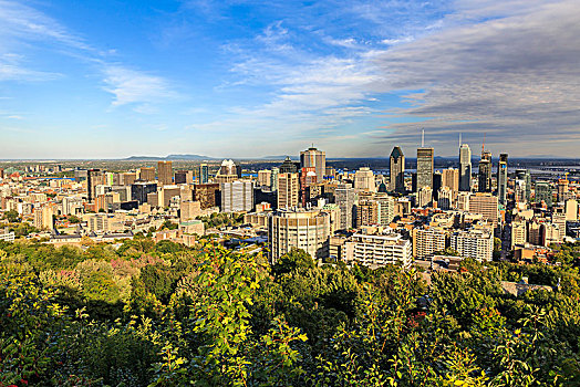 城市,风景,皇室山,蒙特利尔,魁北克,加拿大,北美