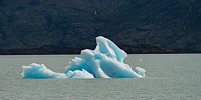 冰山,湖,阿根廷湖,洛斯格拉希亚雷斯国家公园,圣克鲁斯省,巴塔哥尼亚,阿根廷