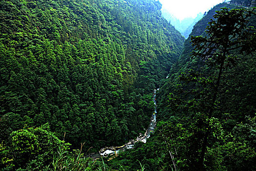 黑山谷漂流景区生态溪峡谷