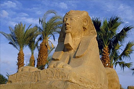 道路,狮身人面像,路克索神庙,埃及