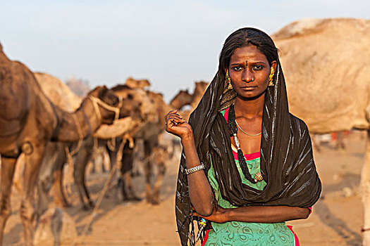 印第安女人,普什卡,骆驼,拉贾斯坦邦,印度