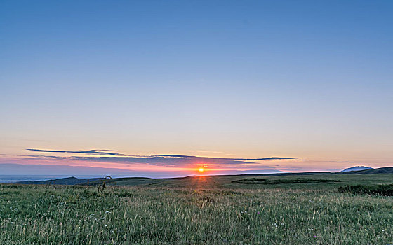 日出日落下的草原山坡
