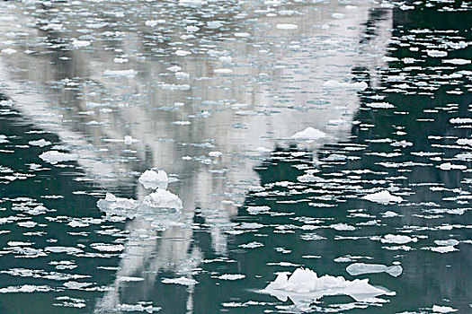 阿拉斯加,冰河湾国家公园,反射,冰山,水上,画廊