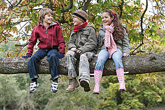 三个孩子,坐在树上,枝条,微笑