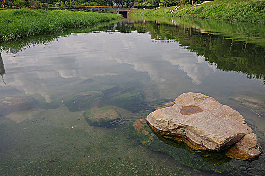 池塘