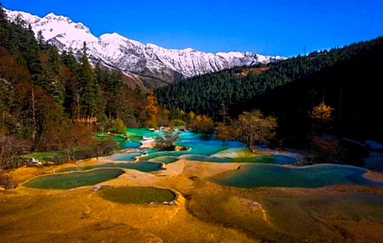 雪山丛林风光