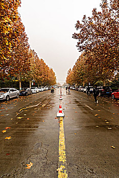 雨后的校园小路
