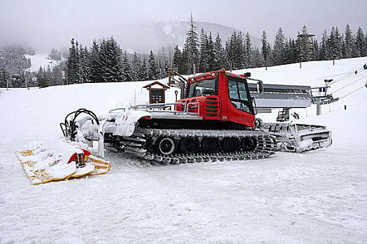 雪,机器,不列颠哥伦比亚省,加拿大