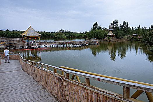 新疆大河口博斯腾湖景区风光