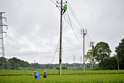 江西金溪,遭受强雷暴雨袭击,抢修线路恢复供电