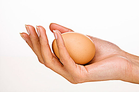 女人,握着,蛋