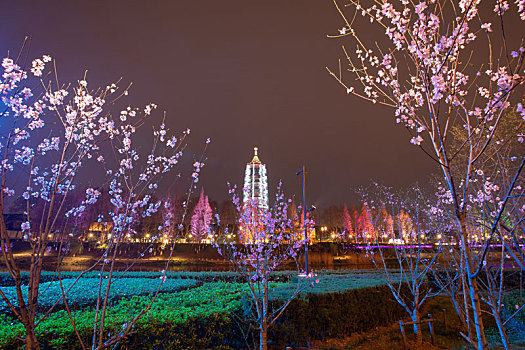 南京城,南大,报恩寺,夜色