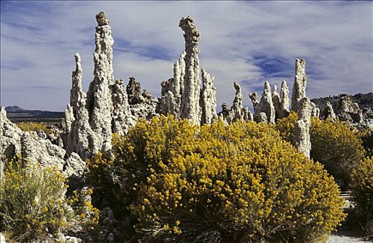 岩石构造,灌木丛,莫诺湖,加利福尼亚,美国