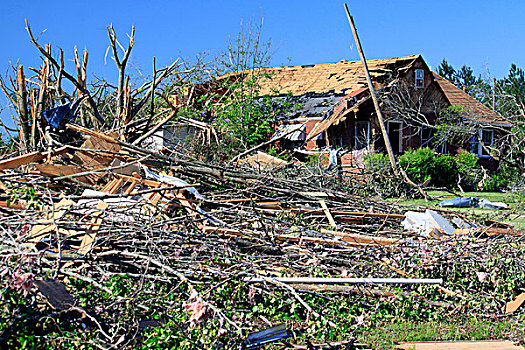 家,树,毁坏,龙卷风,石灰石,阿拉巴马,美国