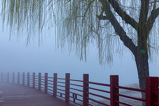 栈桥,雾