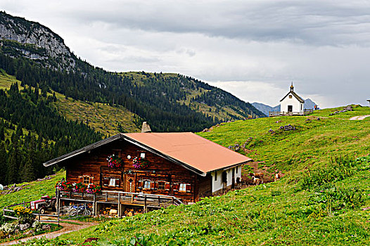 草场,小教堂,高山牧场,山谷,提洛尔,奥地利,欧洲
