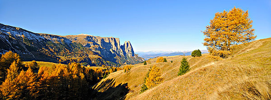 山,草场,秋天,白云岩,南蒂罗尔,意大利,欧洲