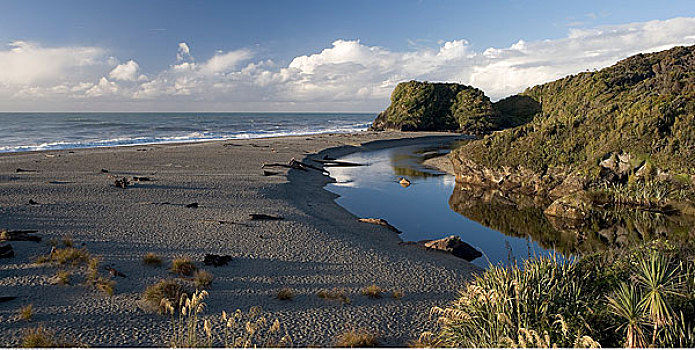 海滩,南岛,新西兰