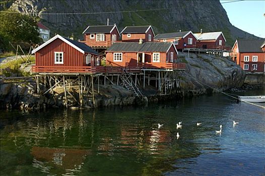红色,涂绘,木屋,罗弗敦群岛,挪威