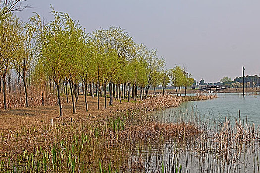 苏州太湖湿地公园