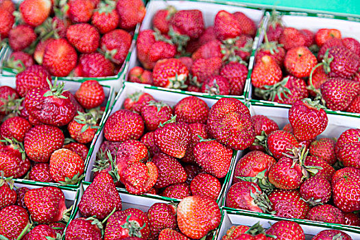 瑞典,草莓,盒子