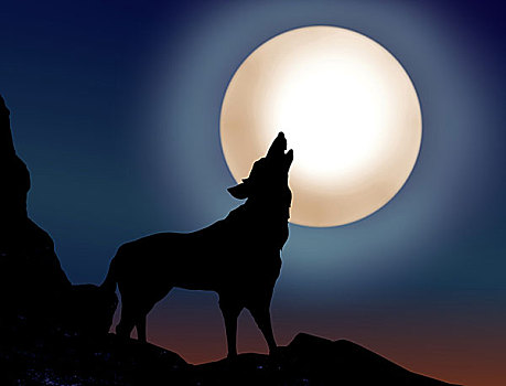 狼,叫喊,上方,满月