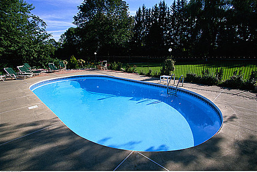 游泳池,后院,房子