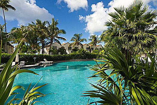 湾,酒店,游泳池,安提瓜岛,西印度群岛,加勒比,中美洲