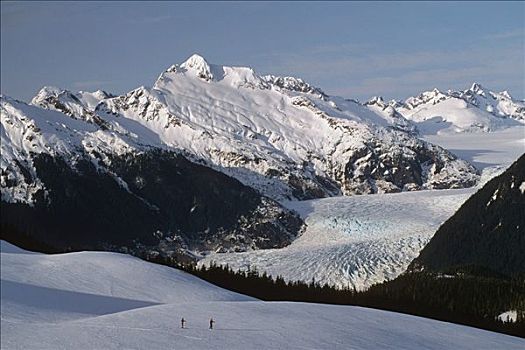 棉田豪冰河,东南阿拉斯加,冬天,越野,滑雪者,雪,山峦,树林,天空