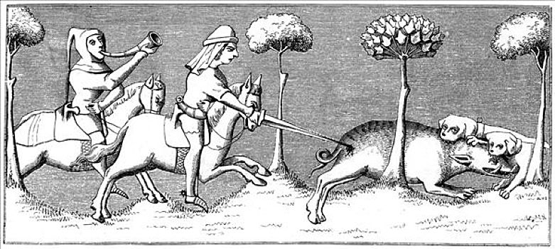 野猪,猎捕,狗,14世纪