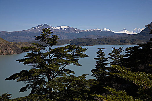 国家公园,智利