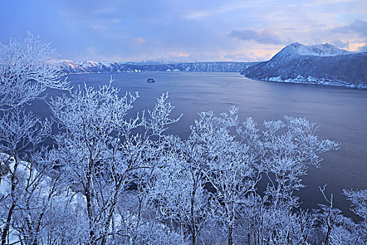 湖,雪,黎明,北海道