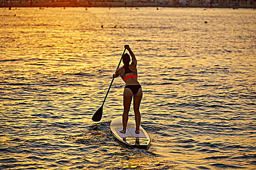 站立,冲浪,女孩,船桨,日落